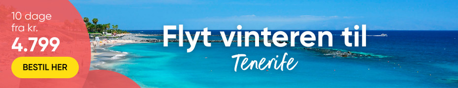 bravo tours vinterferie