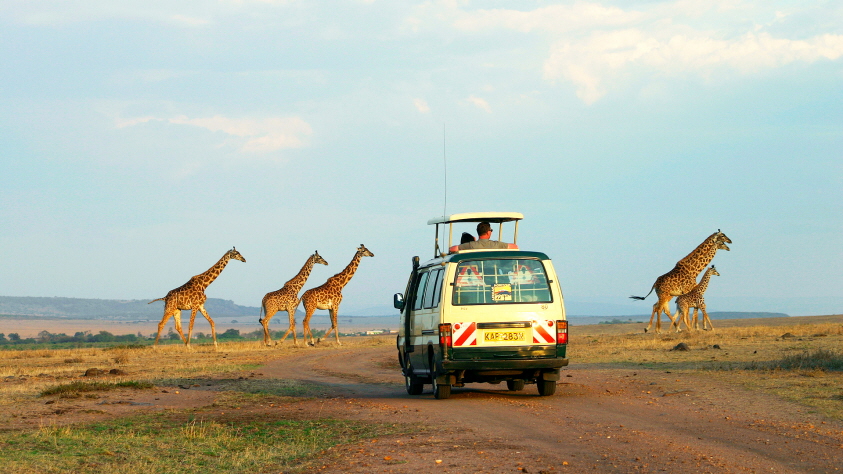 bravo tours safari kenya