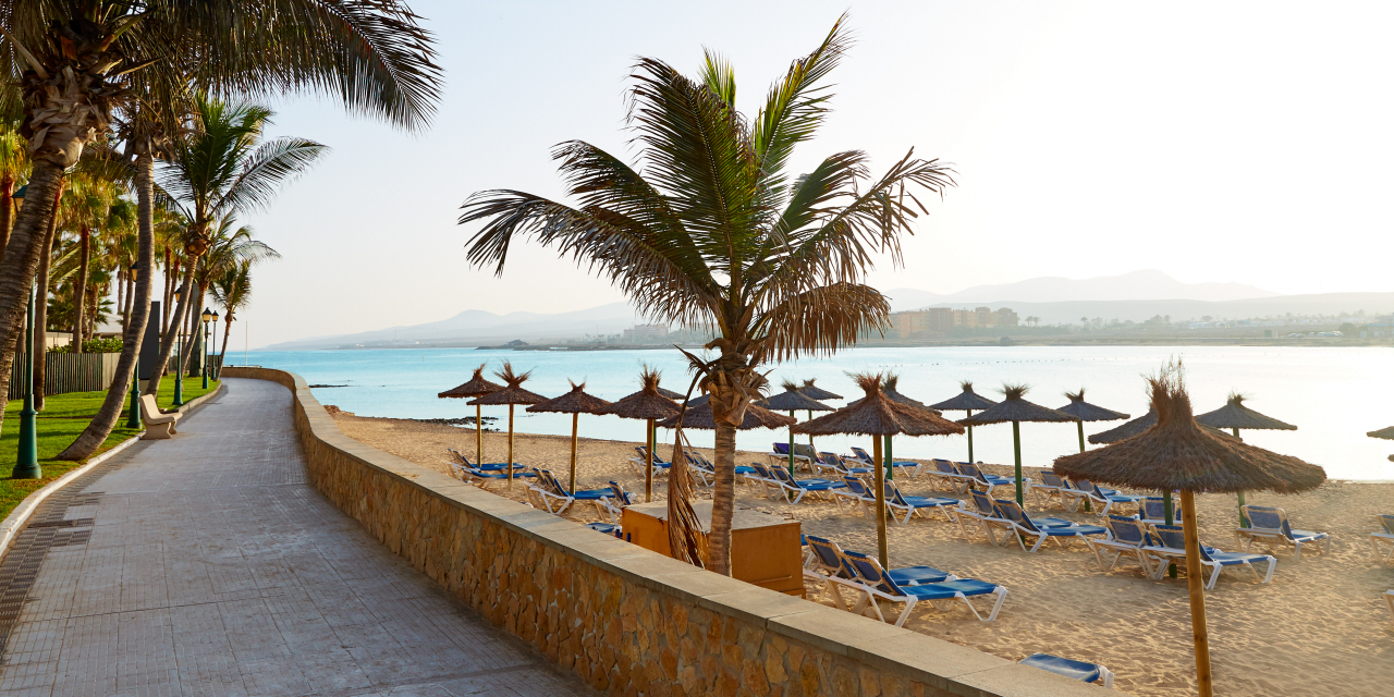 Caleta de Fuste rejser p\u00e5 Fuerteventura med Bravo Tours Caleta de Fuste rejser p\u00e5 Fuerteventura med Bravo Tours