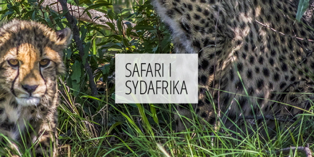 Sydafrikanske dating skikke